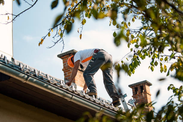 Best Tile Roofing Contractor  in Dollar Bay, MI