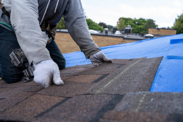 Best Local Roofing Companies  in Dollar Bay, MI