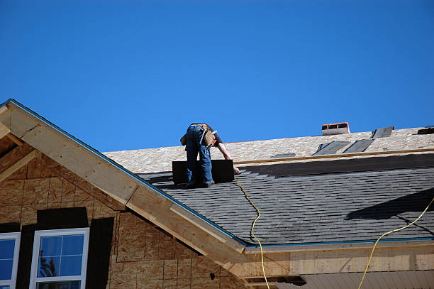Best Metal Roofing Contractor  in Dollar Bay, MI