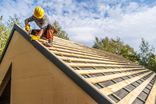 Best Roof Gutter Cleaning  in Dollar Bay, MI