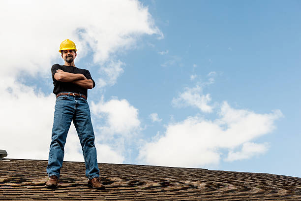 Best Roof Gutter Cleaning  in Dollar Bay, MI
