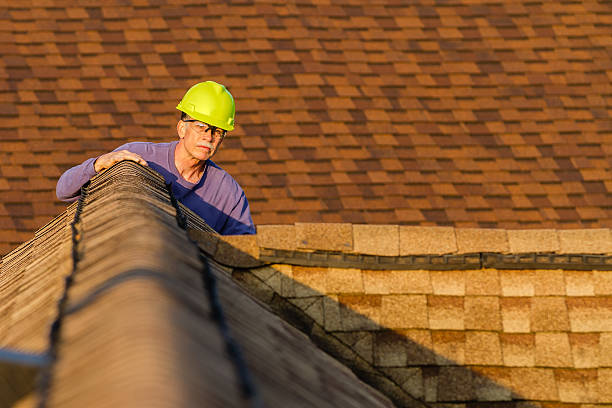 Roof Gutter Cleaning in Dollar Bay, MI