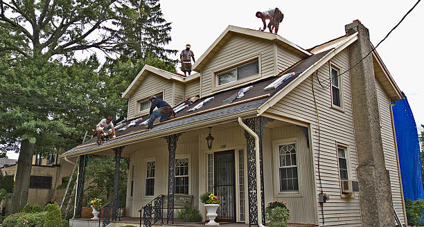 Best Roof Gutter Cleaning  in Dollar Bay, MI